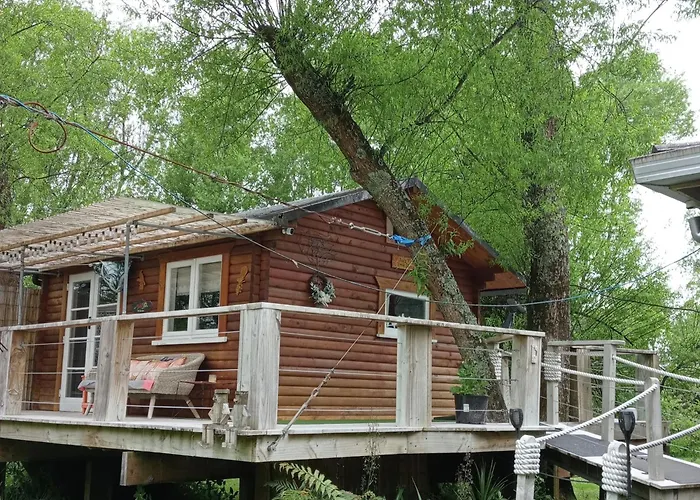 Treehouse Escape For Two